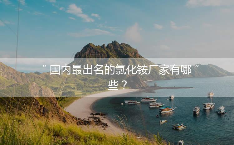 國內最出名的氯化銨廠家有哪些？